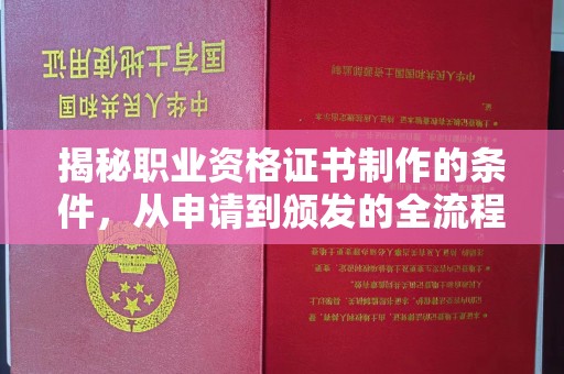 抚远揭秘职业资格证书制作的条件，从申请到颁发的全流程解析